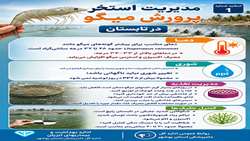 مدیریت استخر پرورش میگو